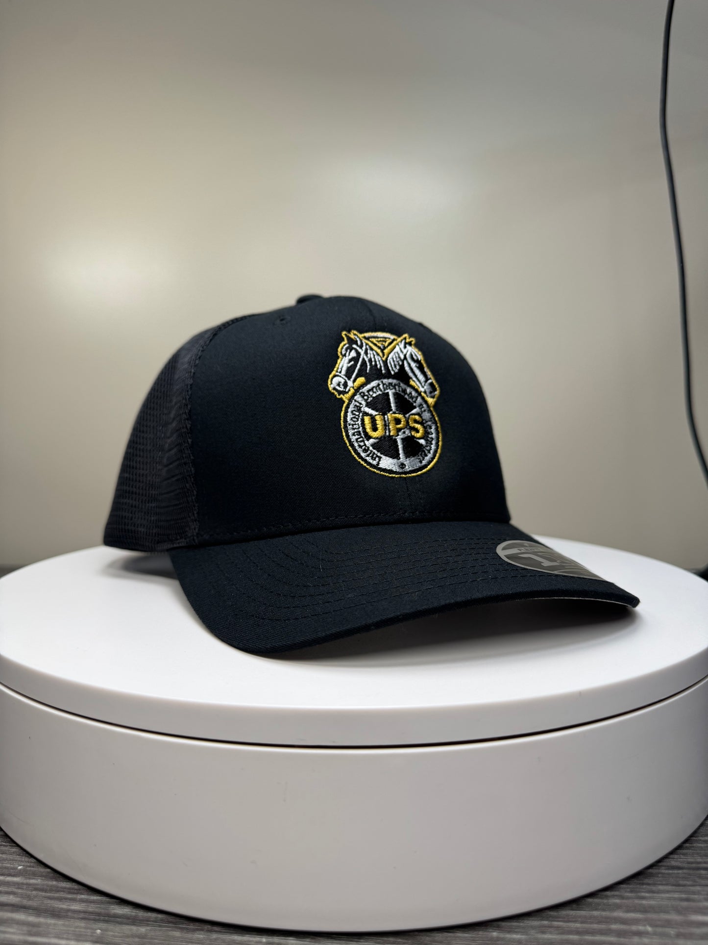 Teamsters UPS Trucker hat.